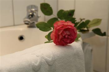 IMG_2439__Custom_.JPG