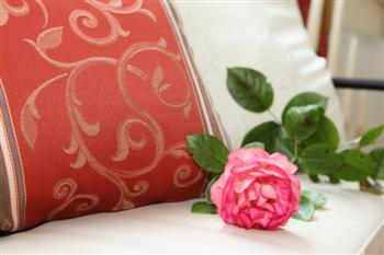 IMG_2448__Custom_.JPG