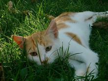 102_012.jpg