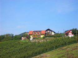 115_004.jpg