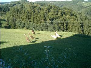 118_025.jpg