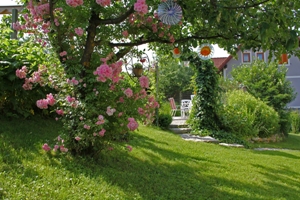 Garten_2.jpg