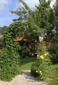 garten_4.jpg