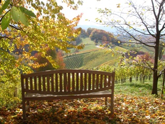 garten_5.jpg