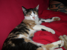 CIMG1052_1.JPG