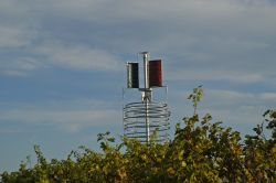 148_011.jpg