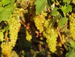 148_033.jpg