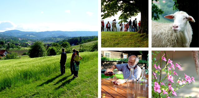 hasewend_collage5.jpg