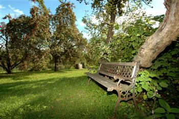 Obstgarten__Custom_.JPG