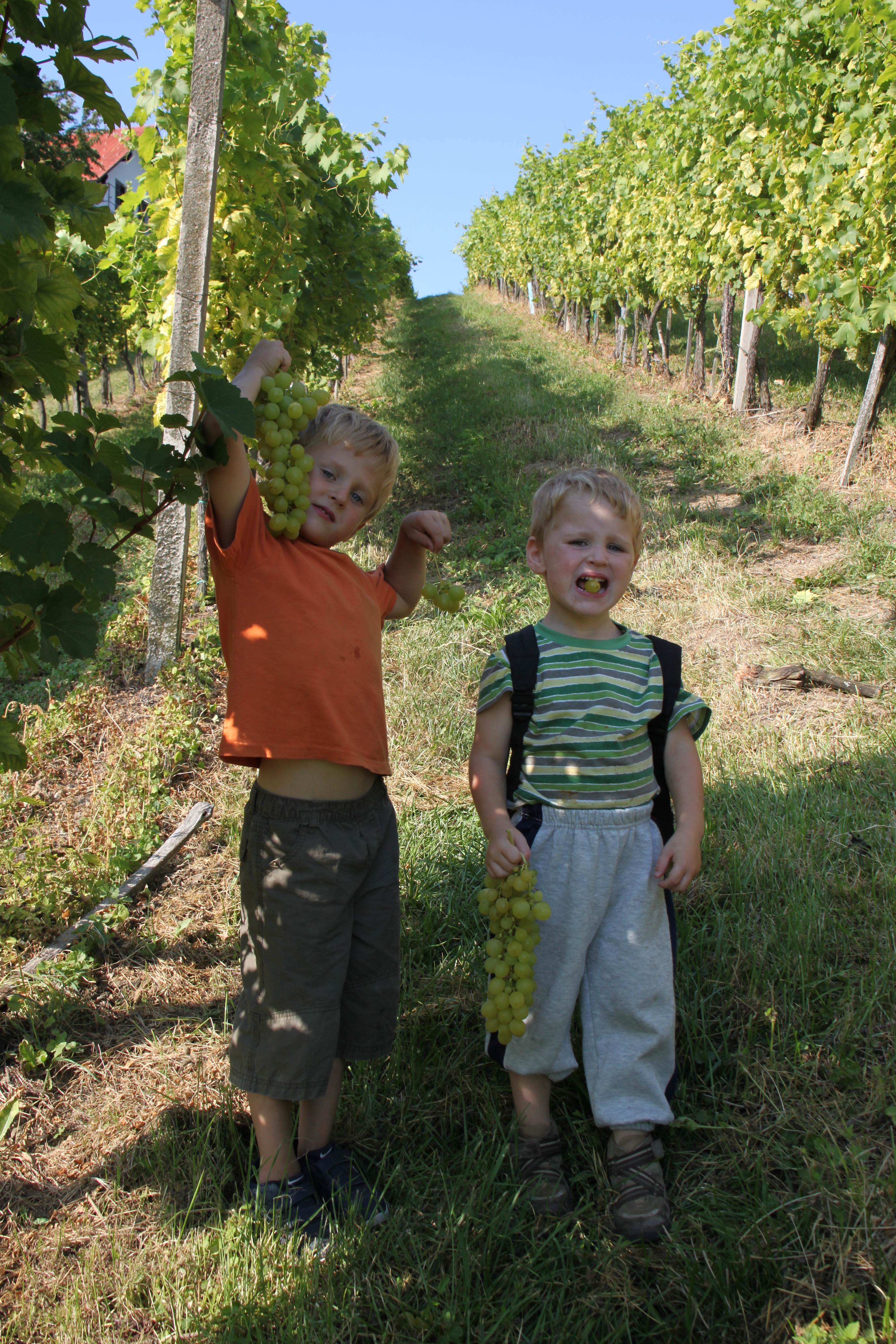 20110830_0149_zu_Hause.JPG