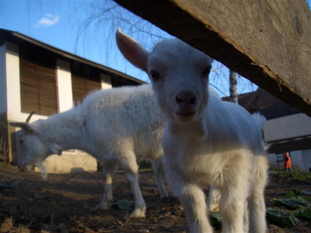 19_024.jpg