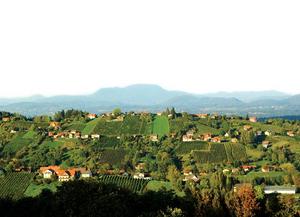 191_004.jpg