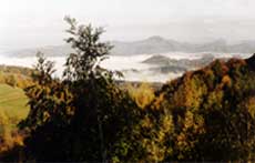 196_003.jpg