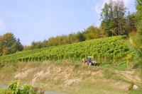 Kollerhof___Lieleg_063__Small__1.jpg