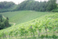 P7060032__Small__1_1.JPG