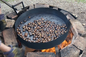 DSC00366.JPG