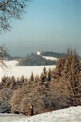 244_019.jpg