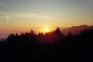 imm011_12b.jpg