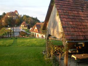 262_009.jpg