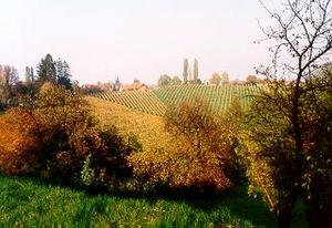 263_002.jpg