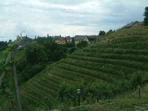 277_016.jpg