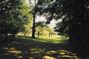 299_003.jpg