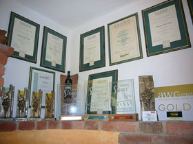 Neues2008_353.jpg