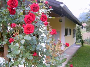 306_007.jpg