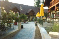 bschank01.jpg
