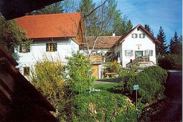 wurzelschuster3.jpg