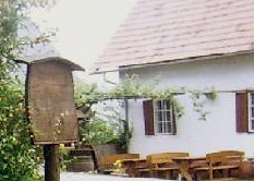 wurzelschuster_buschenschank.jpg