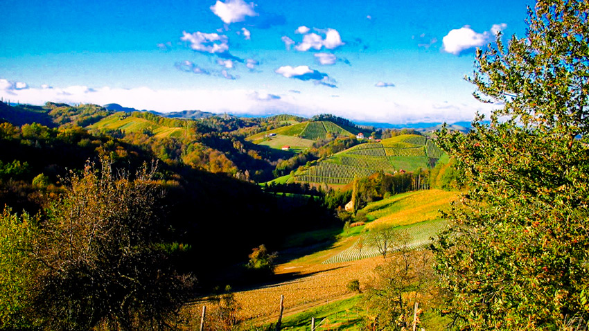 landschaft.jpg