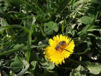 P4121540__Custom_.JPG