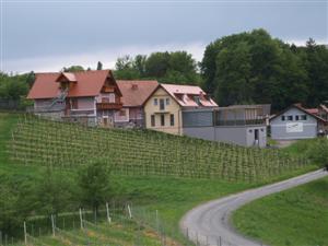 P4291563__Custom_.JPG
