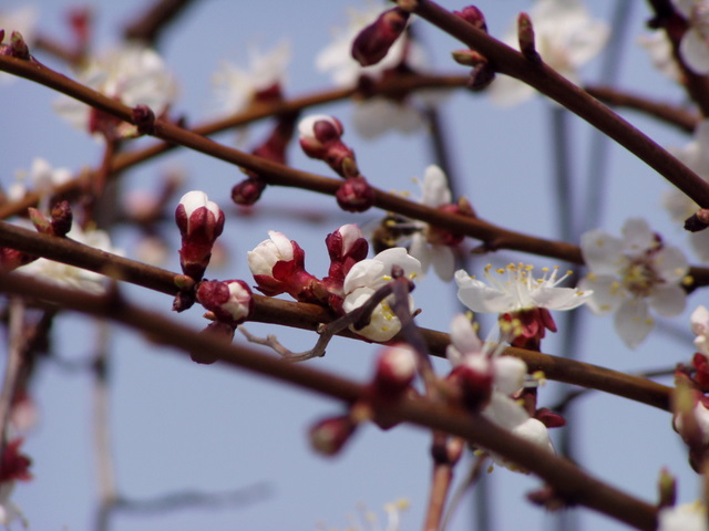 Bilder_2_ 024_1.jpg