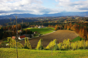 Aussicht_vom_Grillkogel_1.jpg
