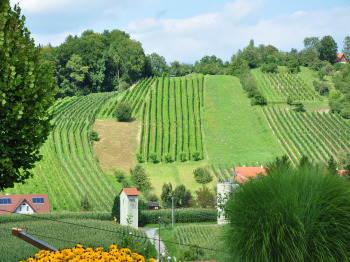 Blick_zum_Grillkogel.jpg