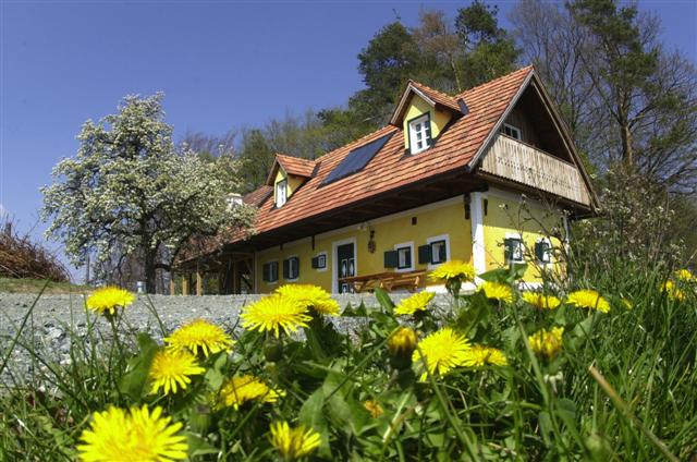 Fruhling_im_Winzerhaus.JPG