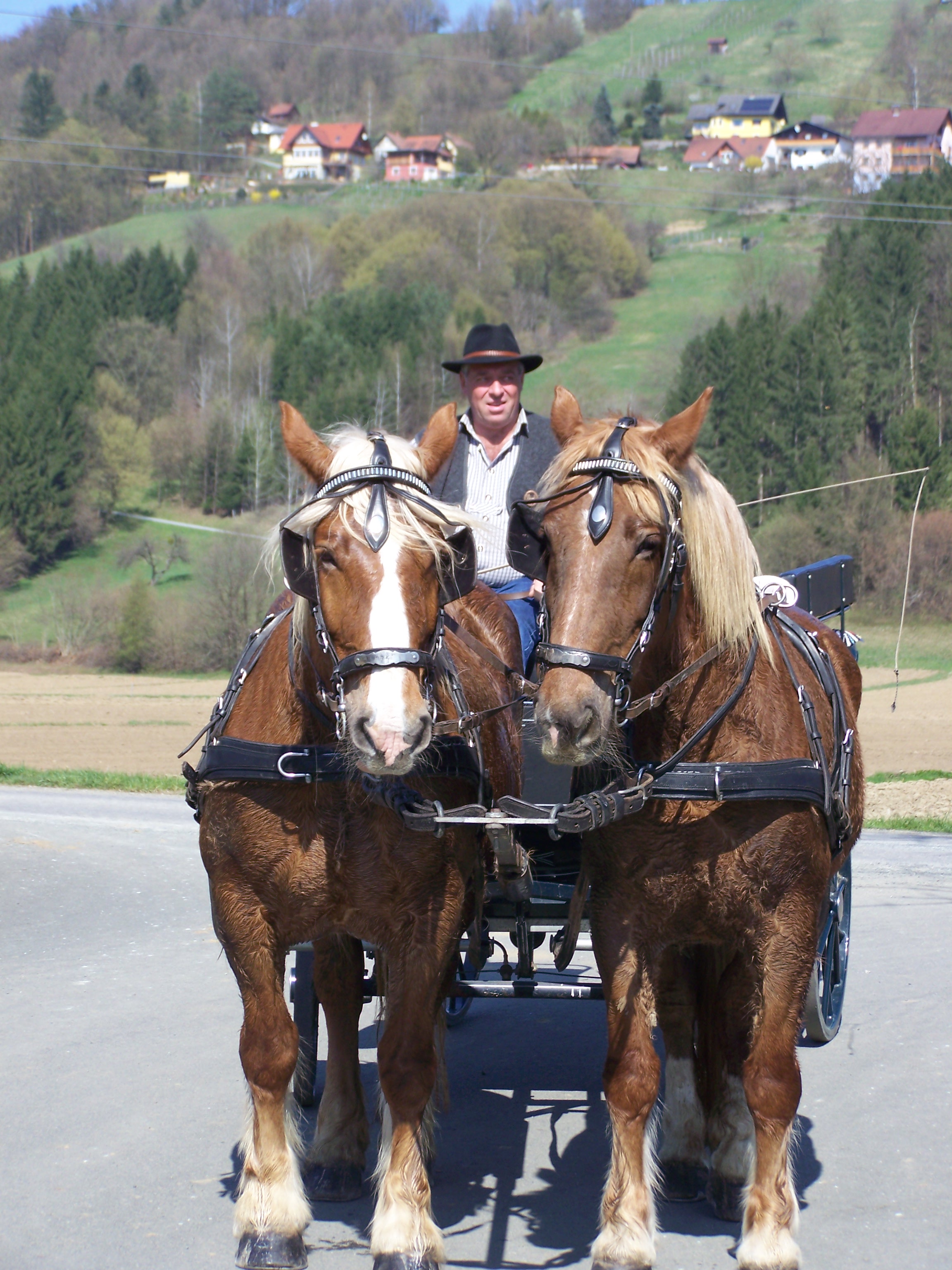 Sicherung_8_04_2011_211.jpg