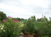 impressionen_02.jpg