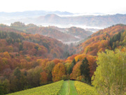 impressionen_10.jpg