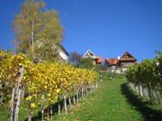 impressionen_11.jpg