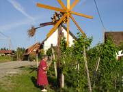 impressionen_20.jpg