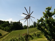 P5290129 - Kopie_1.JPG