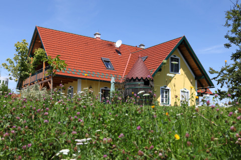 IMG_0169klein.jpg