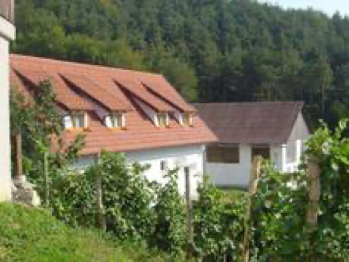 Weingut Strohmeier