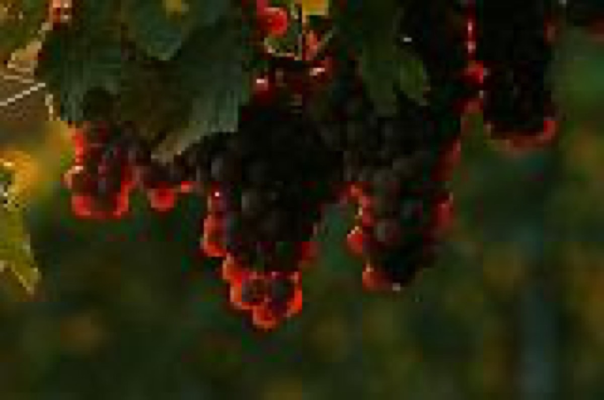 Weingut Legat