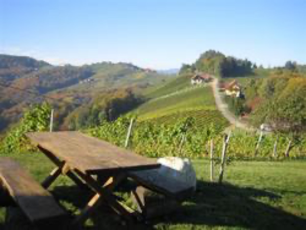Weingut Adam-Schererkogl