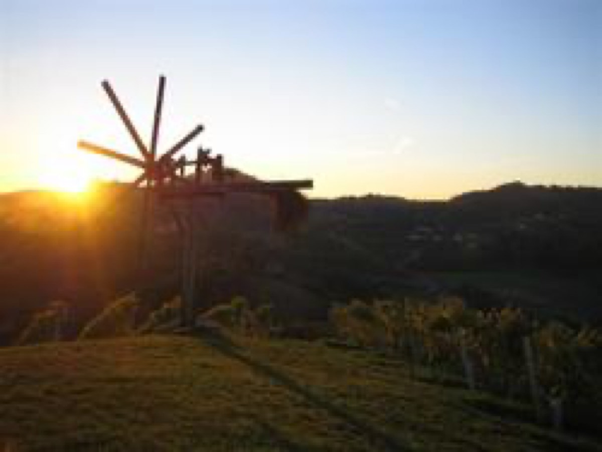 Weingut Adam-Schererkogl