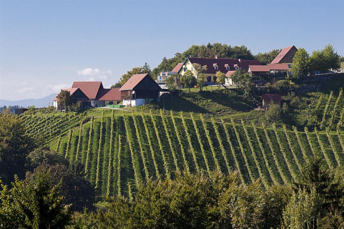 Weingut Klug